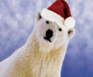 Puzzle Πολική αρκούδα με καπέλο Άγιος Βασίλης